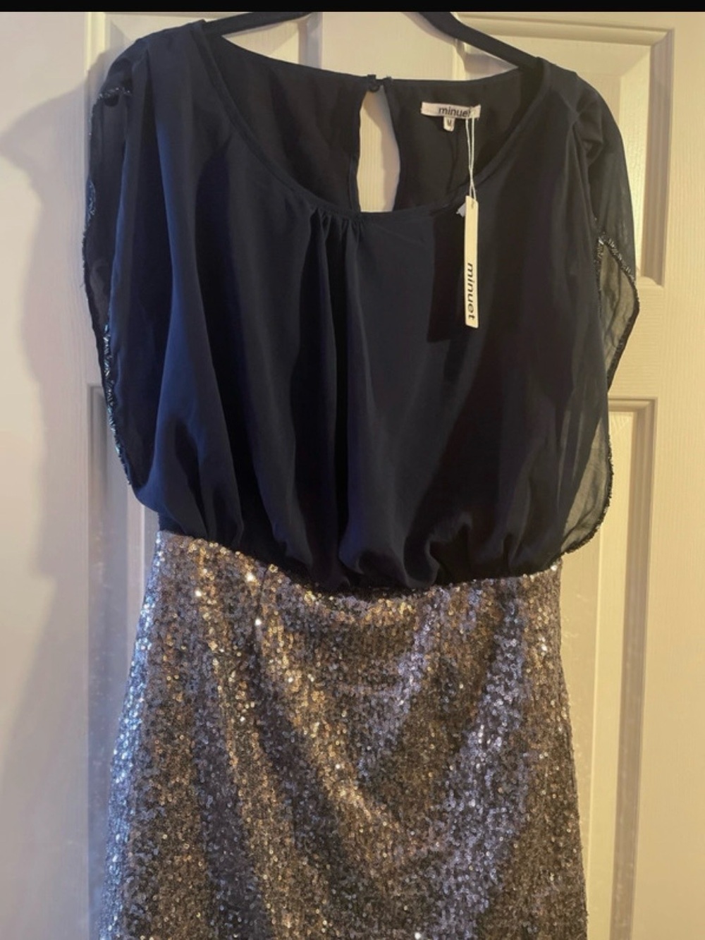 Minuet Petite Navy Chiffon Top with Silver Sequin Skirt